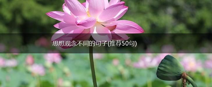 思想观念不同的句子(推荐50句),第1张