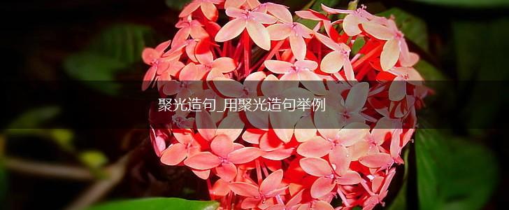 聚光造句_用聚光造句举例,第1张 聚光造句_用聚光造句举例,第1张