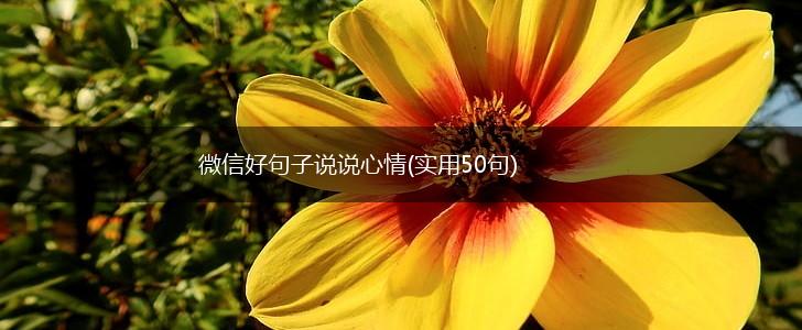 微信好句子说说心情(实用50句),第1张