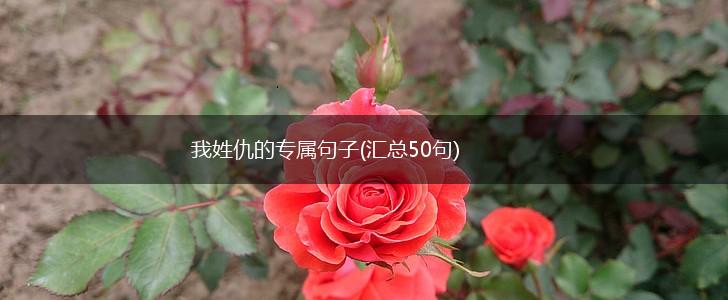 我姓仇的专属句子(汇总50句),第1张