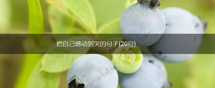 把自己感动到哭的句子(20句),第1张