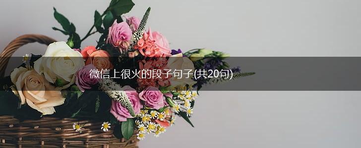 微信上很火的段子句子(共20句),第1张