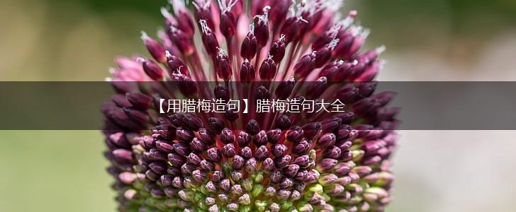 【用腊梅造句】腊梅造句大全,第1张 【用腊梅造句】腊梅造句大全,第1张