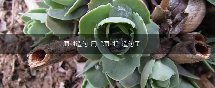 原封造句_用“原封”造句子,第1张 原封造句_用“原封”造句子,第1张