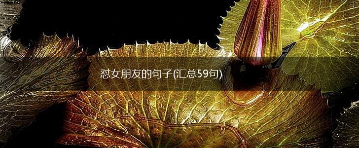 怼女朋友的句子(汇总59句),第1张