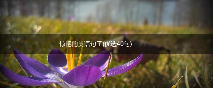 惊艳的英语句子(优选40句),第1张