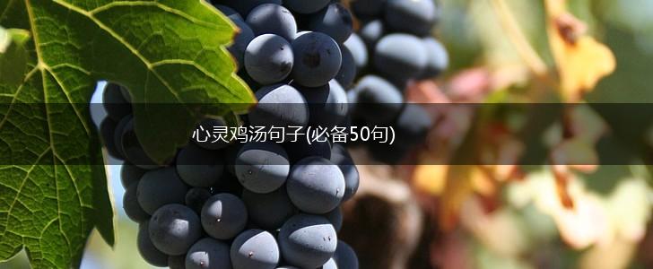 心灵鸡汤句子(必备50句),第1张