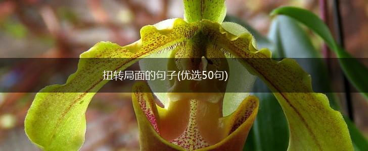 扭转局面的句子(优选50句),第1张