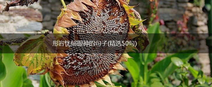 形容忧郁眼神的句子(精选50句),第1张