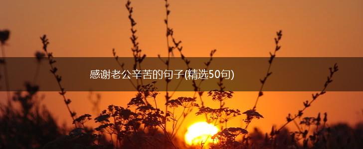 感谢老公辛苦的句子(精选50句),第1张