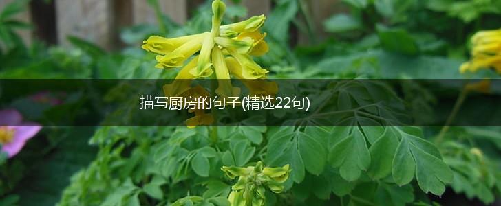 描写厨房的句子(精选22句),第1张