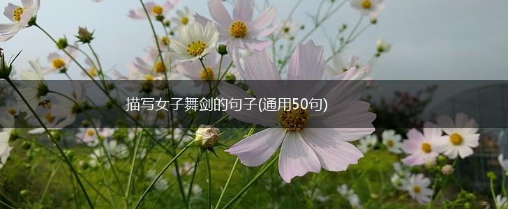 描写女子舞剑的句子(通用50句),第1张