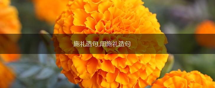 施礼造句,用施礼造句,第1张 施礼造句,用施礼造句,第1张