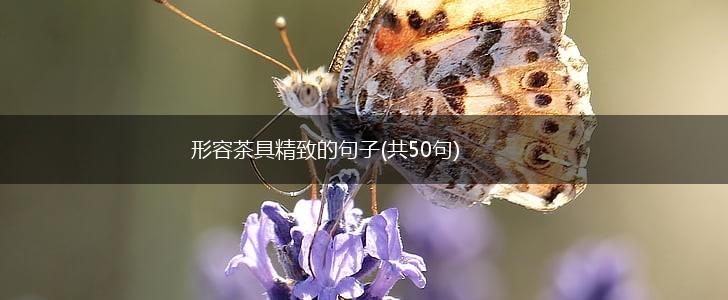 形容茶具精致的句子(共50句),第1张