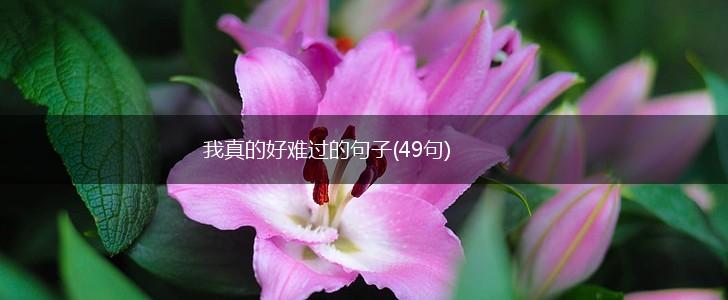 我真的好难过的句子(49句),第1张