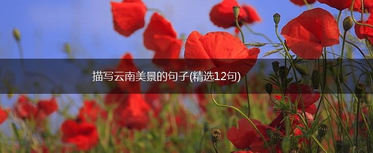 描写云南美景的句子(精选12句),第1张