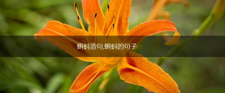 蝌蚪造句,蝌蚪的句子,第1张 蝌蚪造句,蝌蚪的句子,第1张