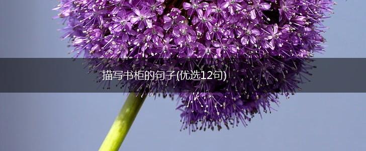 描写书柜的句子(优选12句),第1张