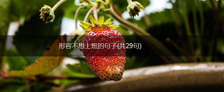 形容不想上班的句子(共29句),第1张