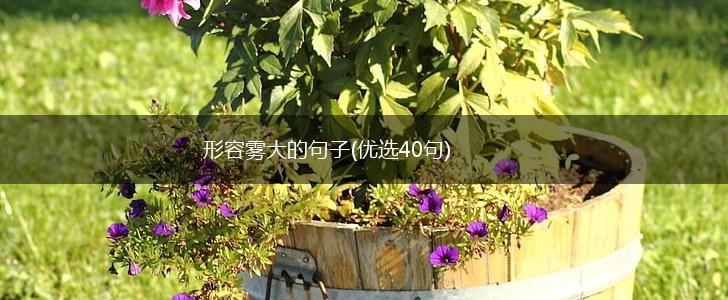 形容雾大的句子(优选40句),第1张