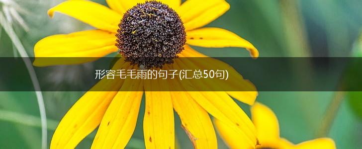 形容毛毛雨的句子(汇总50句),第1张