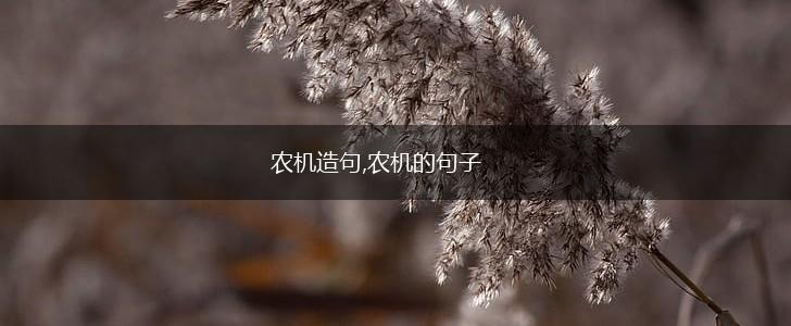 农机造句,农机的句子,第1张