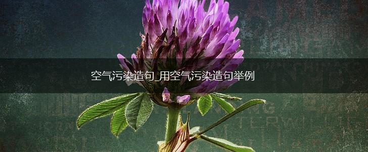 空气污染造句_用空气污染造句举例,第1张 空气污染造句_用空气污染造句举例,第1张