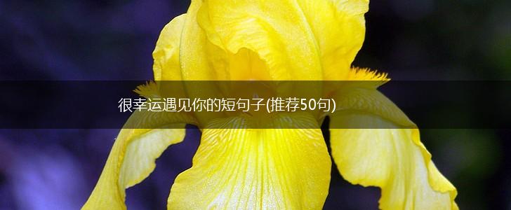 很幸运遇见你的短句子(推荐50句),第1张