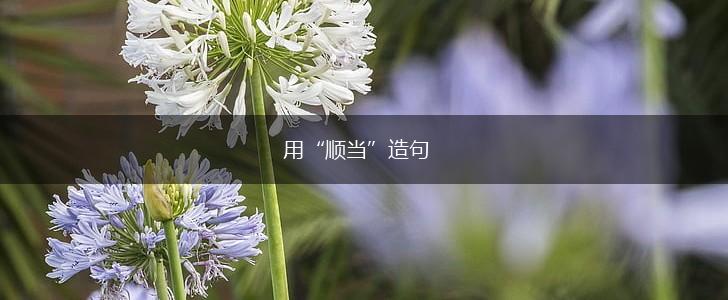 用“顺当”造句,第1张