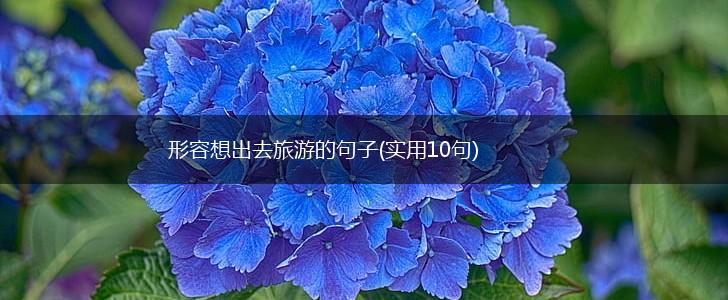 形容想出去旅游的句子(实用10句),第1张