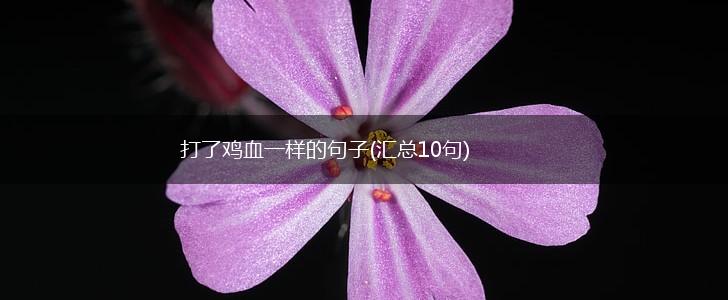 打了鸡血一样的句子(汇总10句),第1张