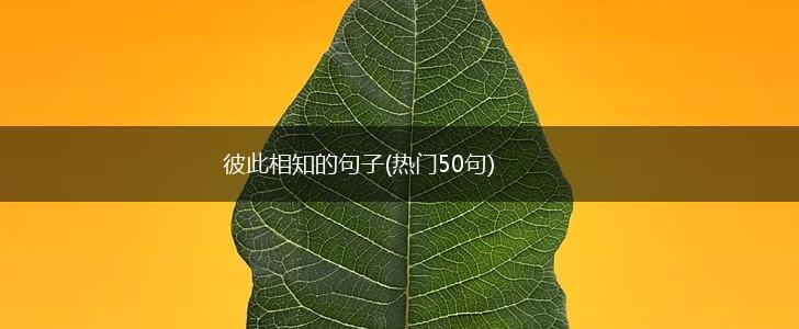 彼此相知的句子(热门50句),第1张