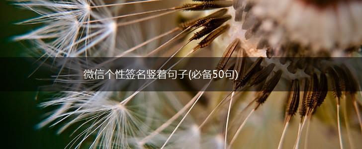 微信个性签名竖着句子(必备50句),第1张