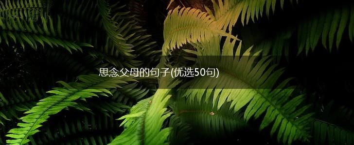 思念父母的句子(优选50句),第1张