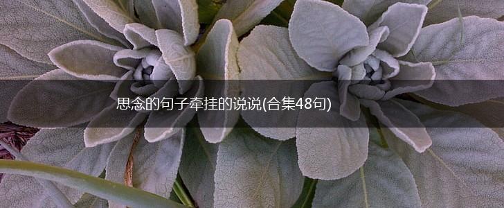 思念的句子牵挂的说说(合集48句),第1张