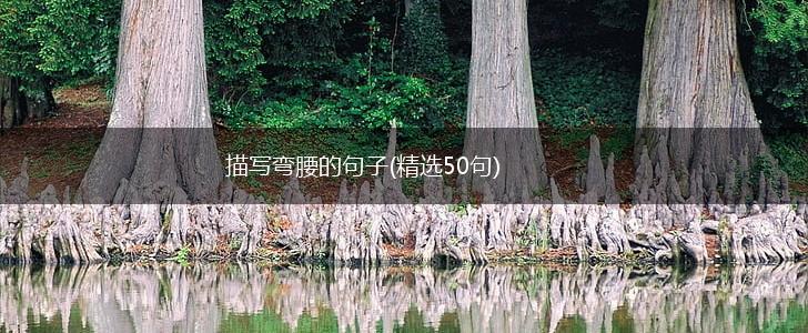 描写弯腰的句子(精选50句),第1张
