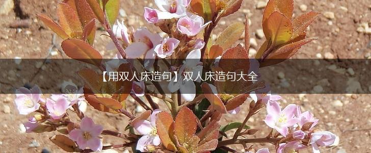 【用双人床造句】双人床造句大全,第1张 【用双人床造句】双人床造句大全,第1张