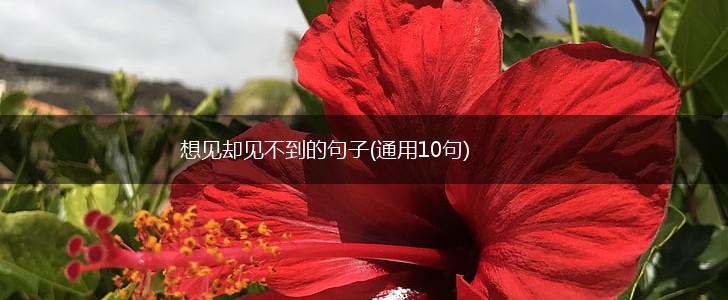 想见却见不到的句子(通用10句),第1张