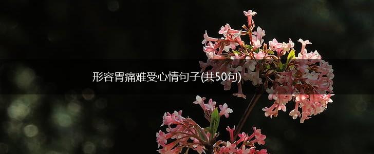 形容胃痛难受心情句子(共50句),第1张