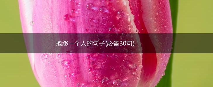 抱怨一个人的句子(必备30句),第1张