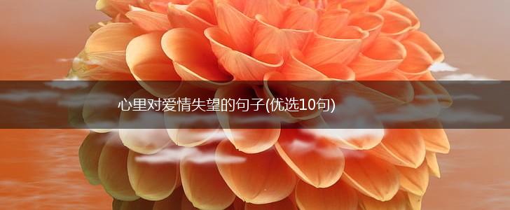 心里对爱情失望的句子(优选10句),第1张