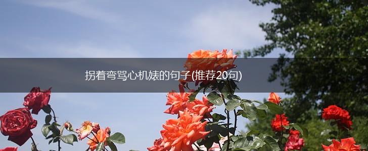 拐着弯骂心机婊的句子(推荐20句),第1张