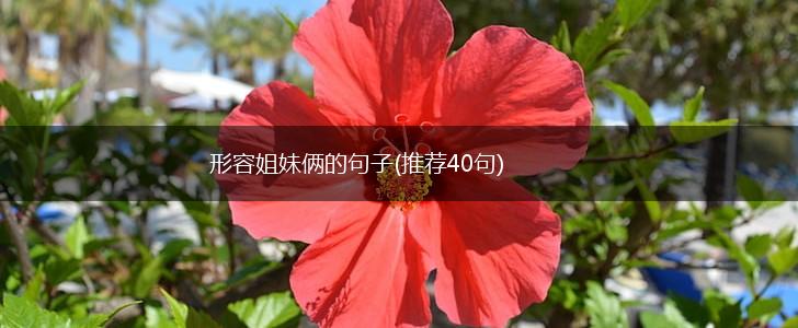 形容姐妹俩的句子(推荐40句),第1张