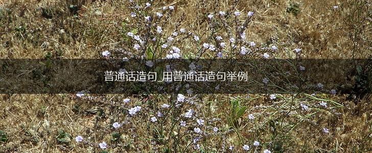 普通话造句_用普通话造句举例,第1张 普通话造句_用普通话造句举例,第1张