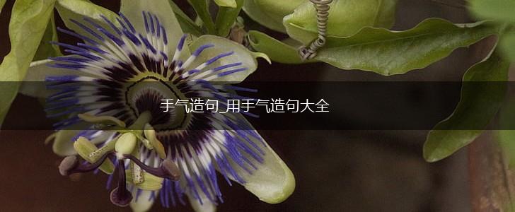 手气造句_用手气造句大全,第1张