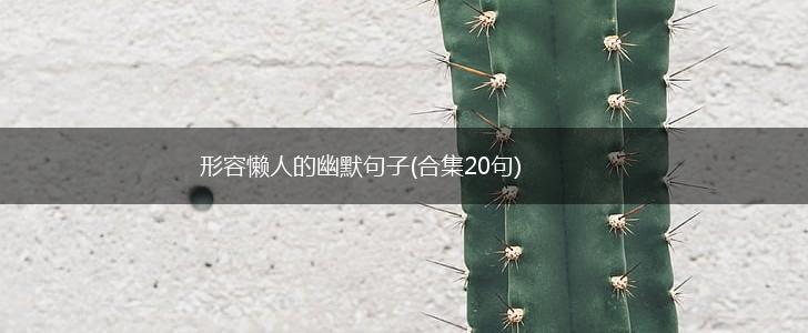 形容懒人的幽默句子(合集20句),第1张