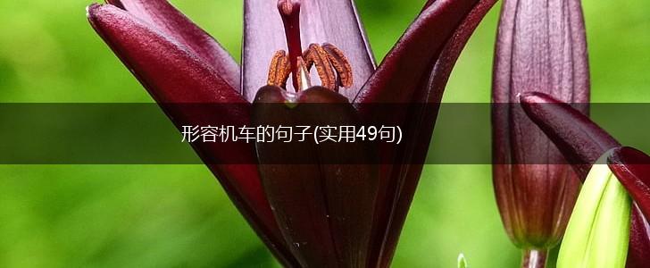 形容机车的句子(实用49句),第1张