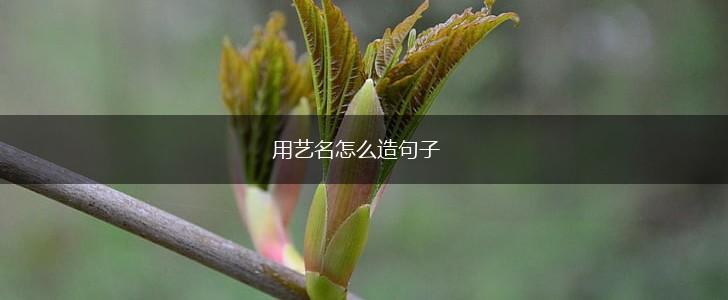 用艺名怎么造句子,第1张 用艺名怎么造句子,第1张