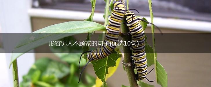 形容男人不顾家的句子(优选10句),第1张
