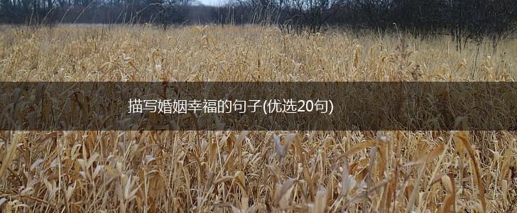 描写婚姻幸福的句子(优选20句),第1张